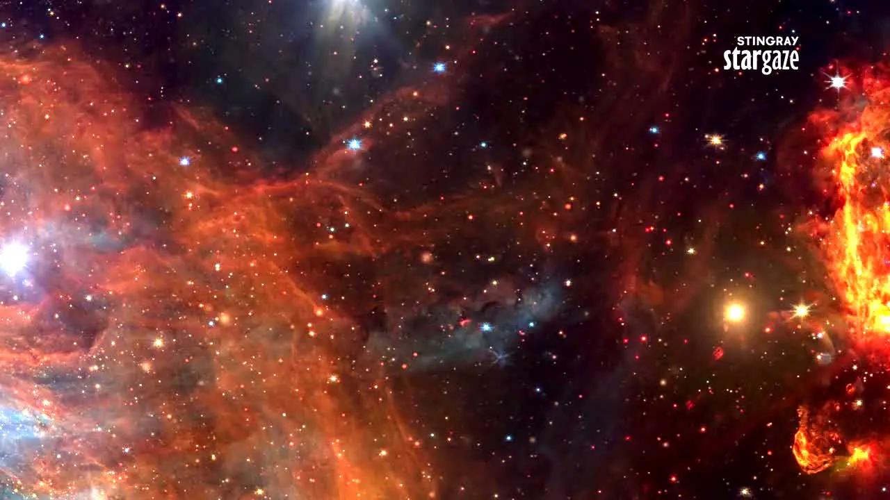 Stingray Stargaze ao vivo