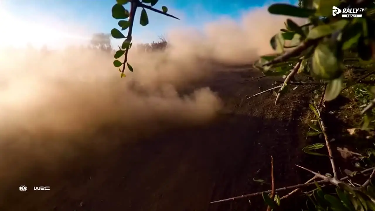 Rally.TV FAST+ na żywo