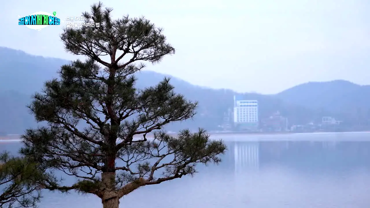 걸어서 세계 여행 en vivo