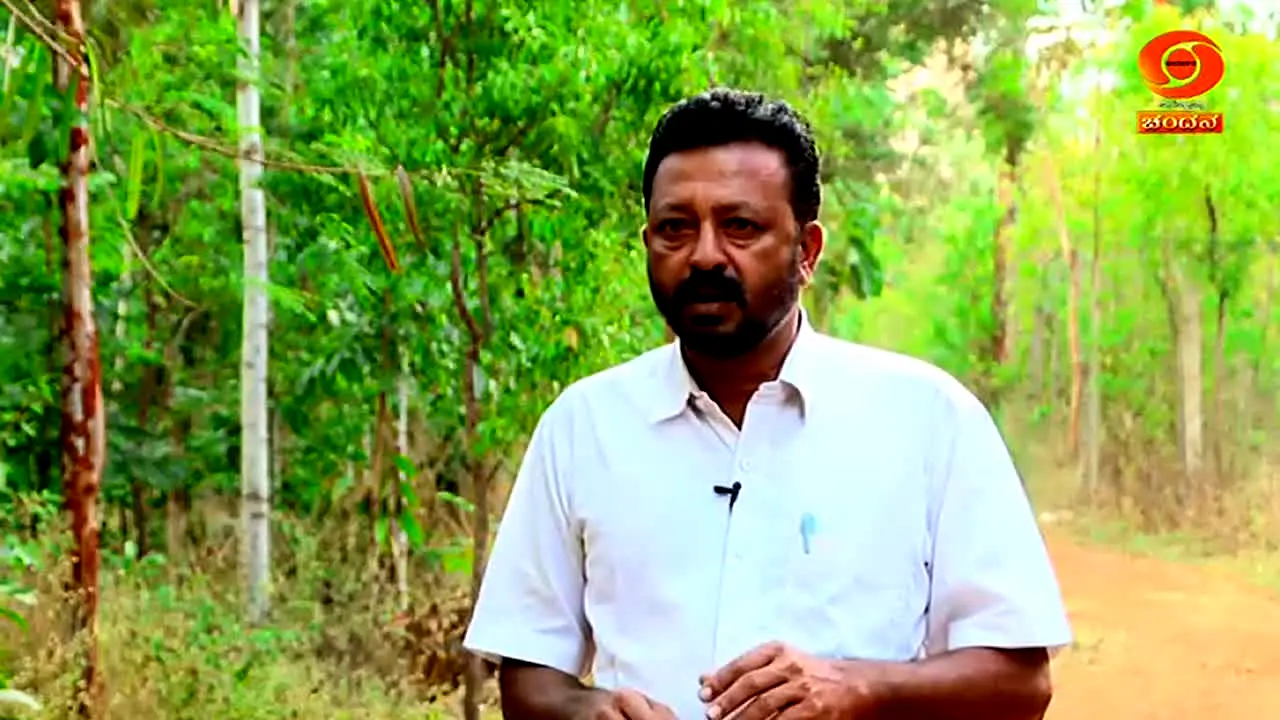 DD Chandana live