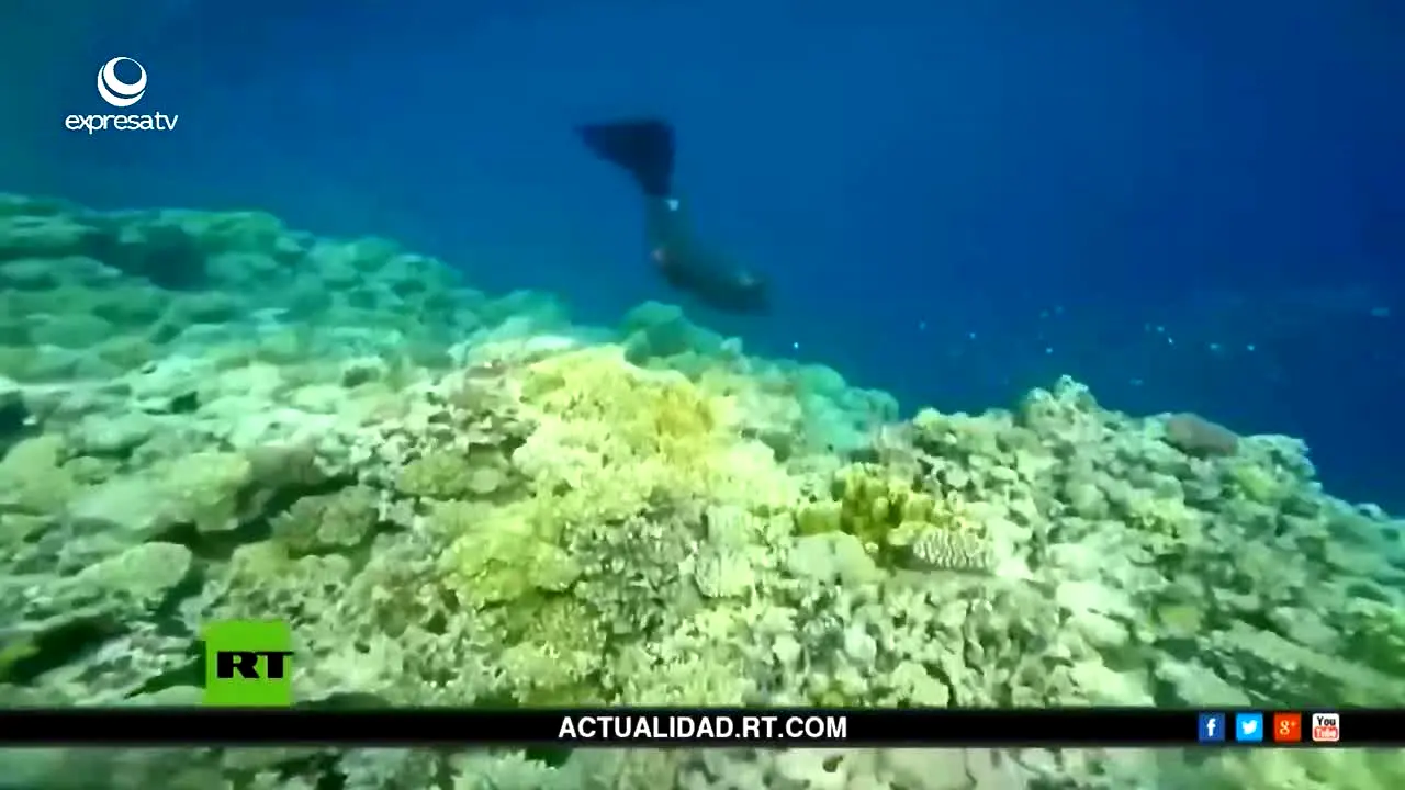 Expresa TV live