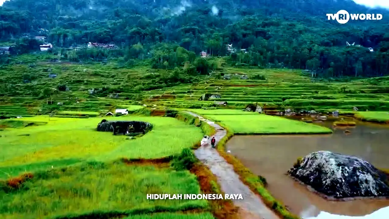TVRI Riau live