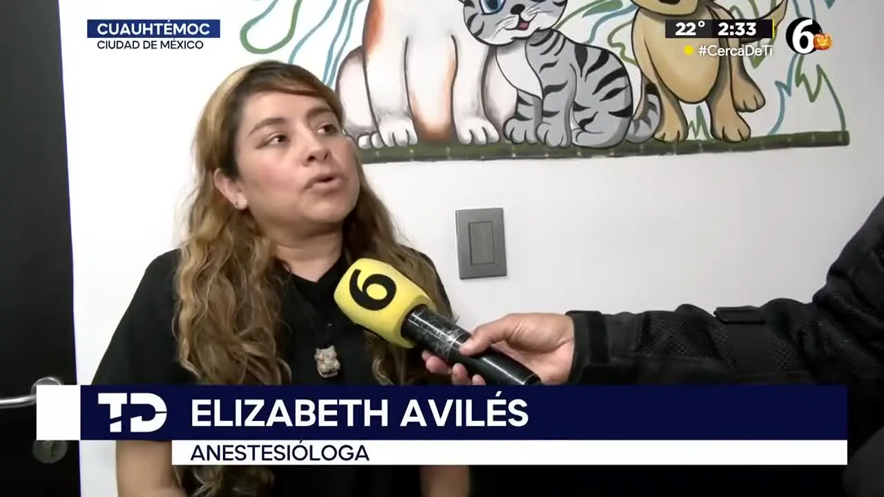 Canal 6 CdMX live
