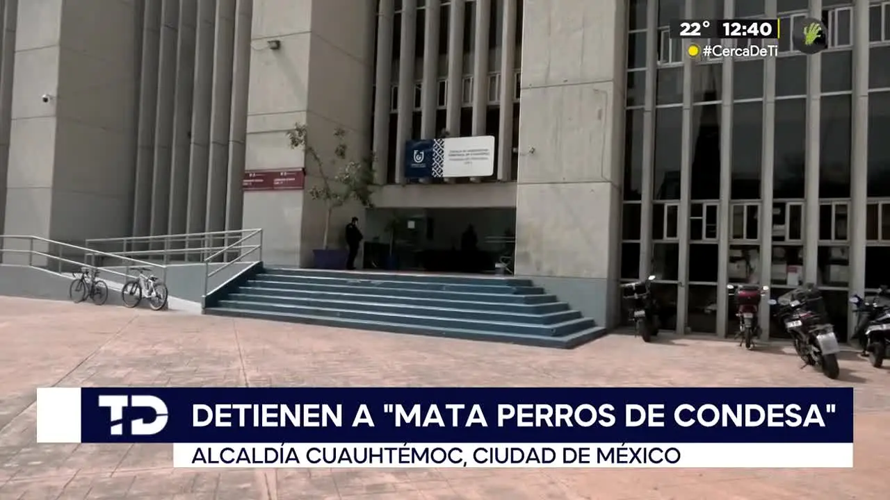 Canal 6 CdMX live