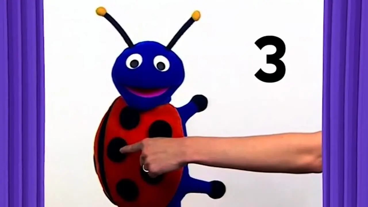 Baby Einstein live