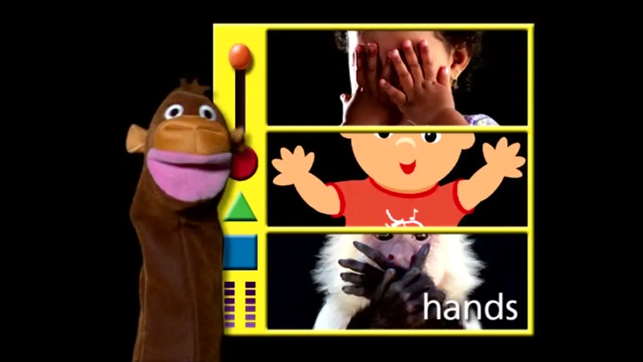 Baby Einstein live