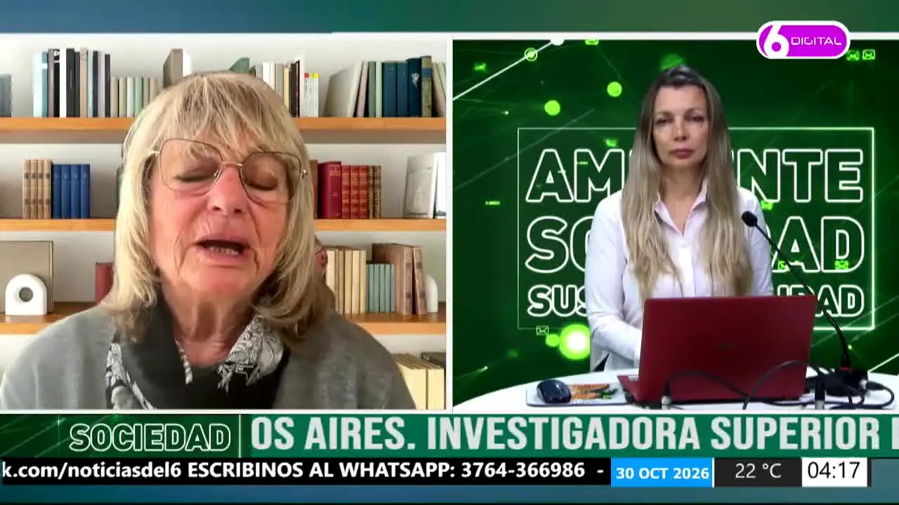 Canal 6 Posadas live