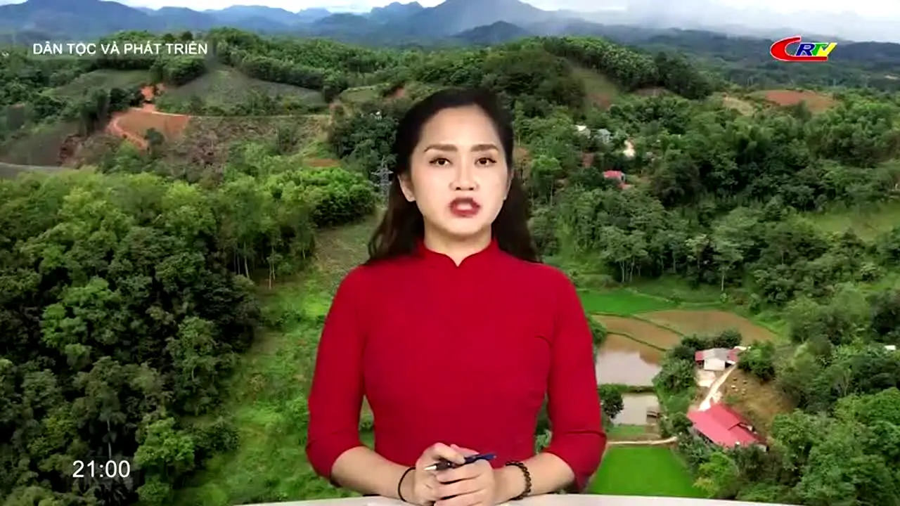 Cao Bang TV live