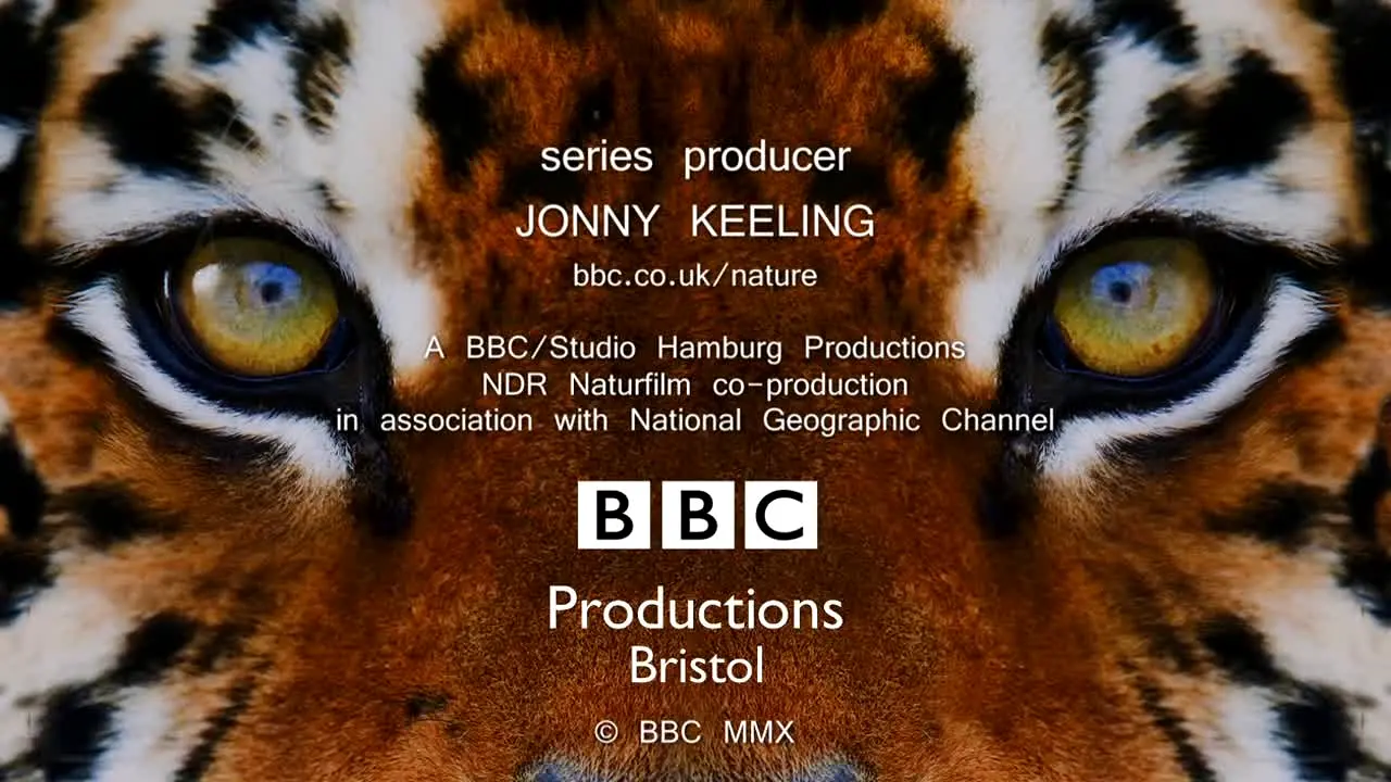 BBC Earth live