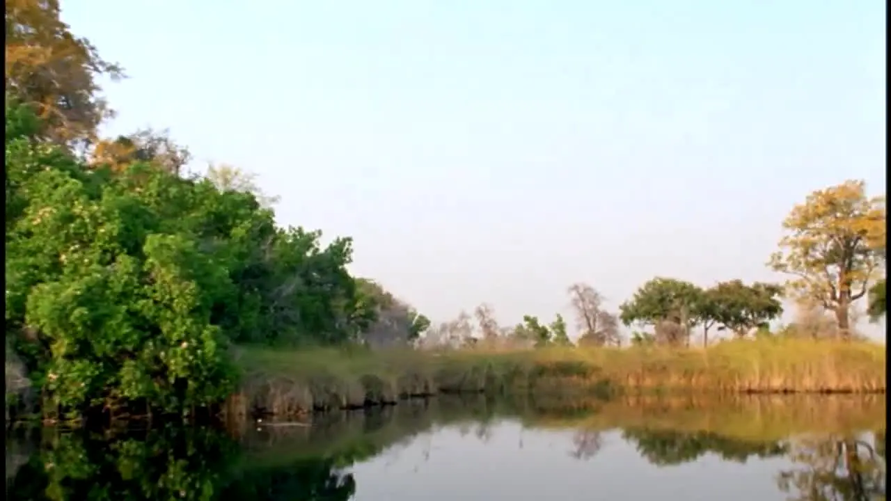 BBC Earth live