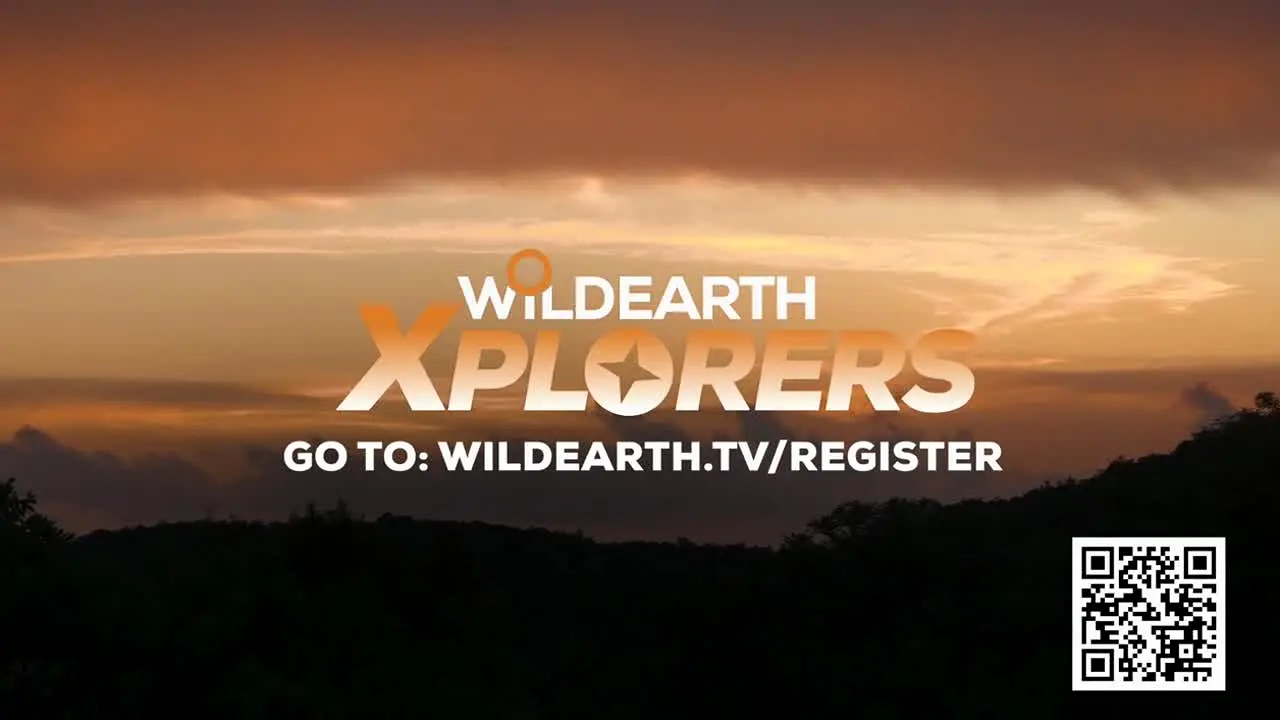 WildEarth live