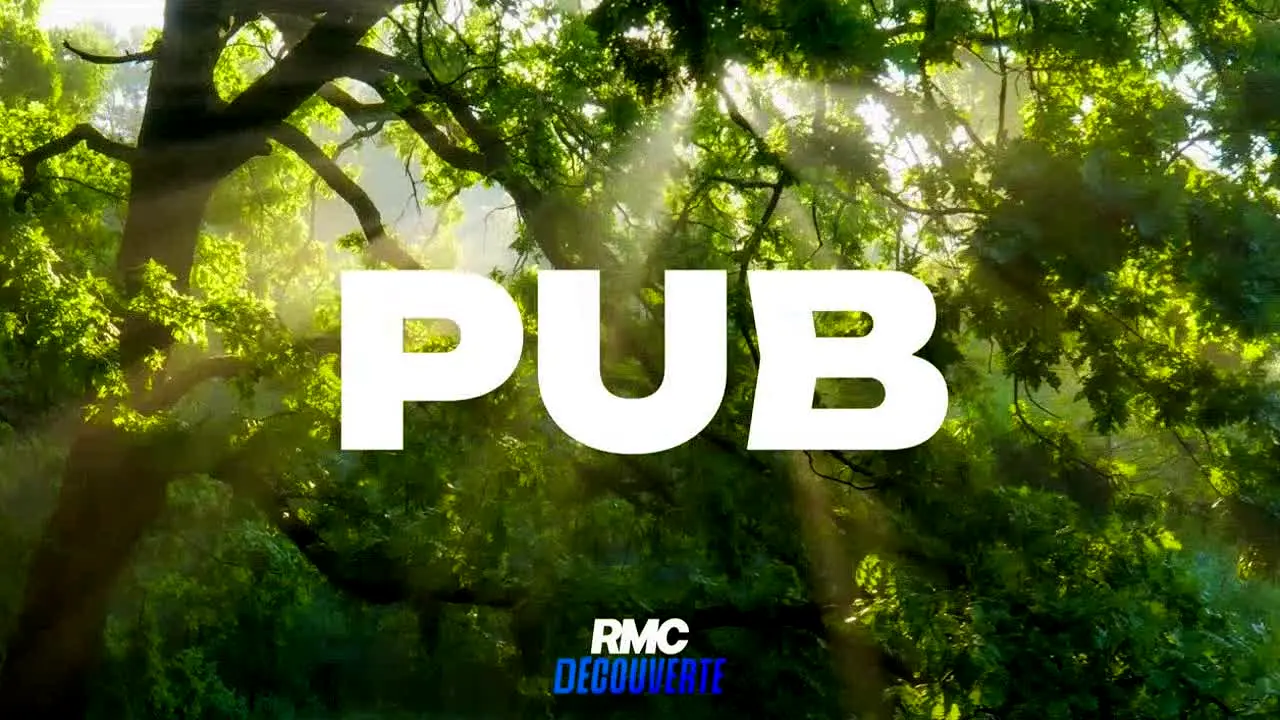 RMC Decouverte live