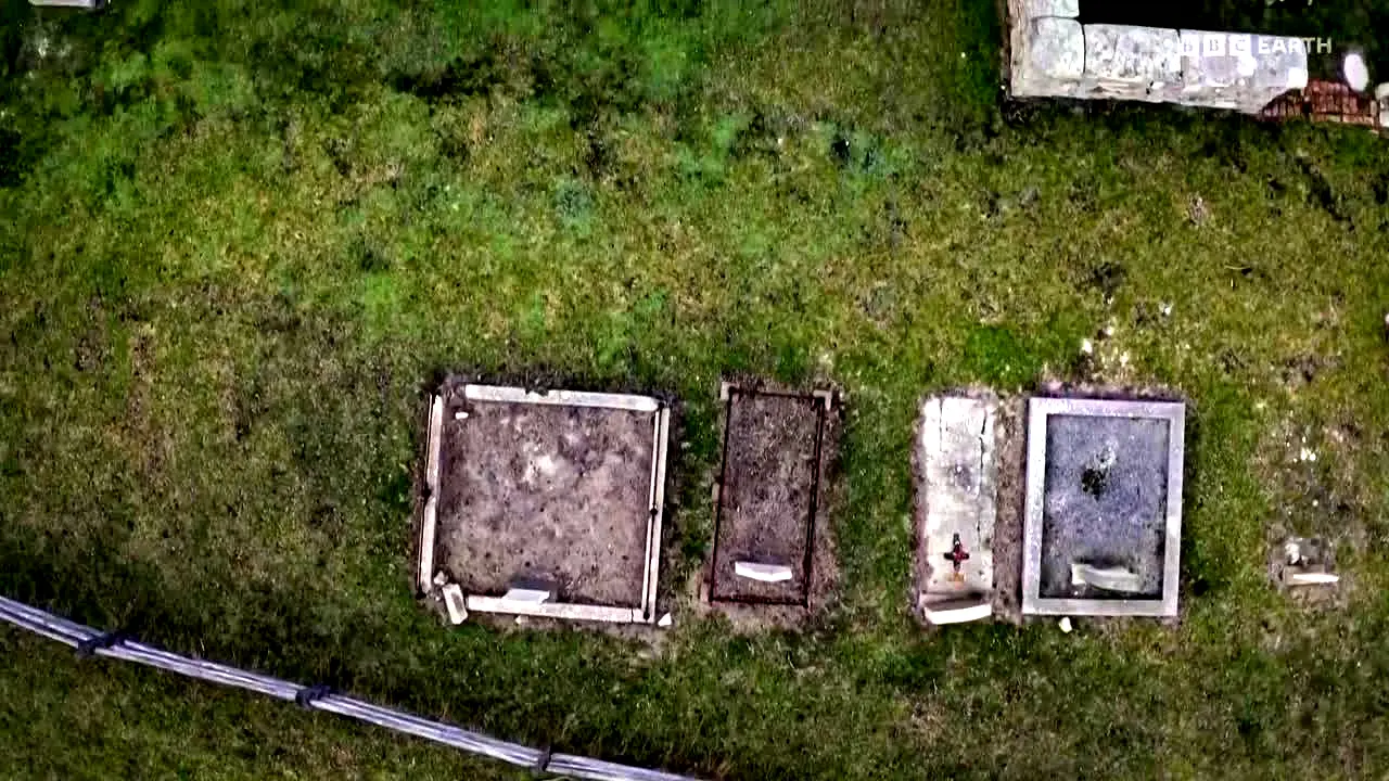 BBC Earth Hungary live