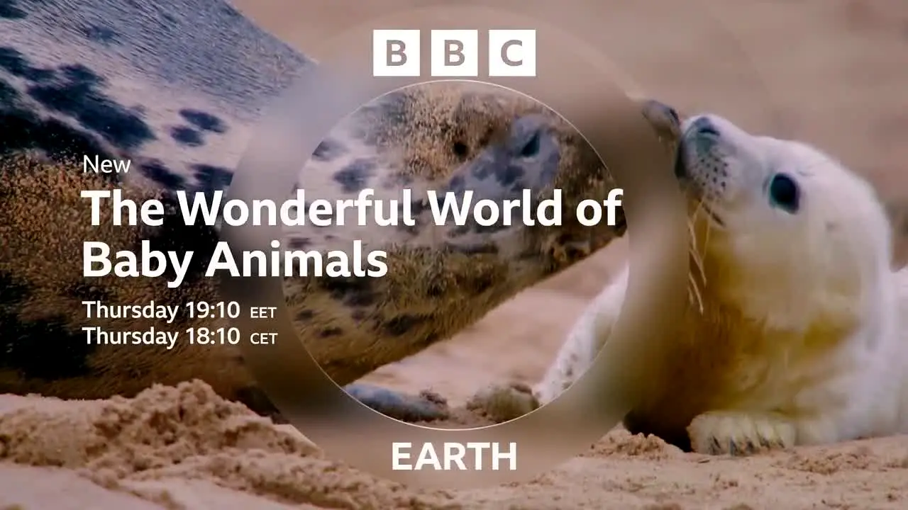 BBC Earth Hungary en vivo