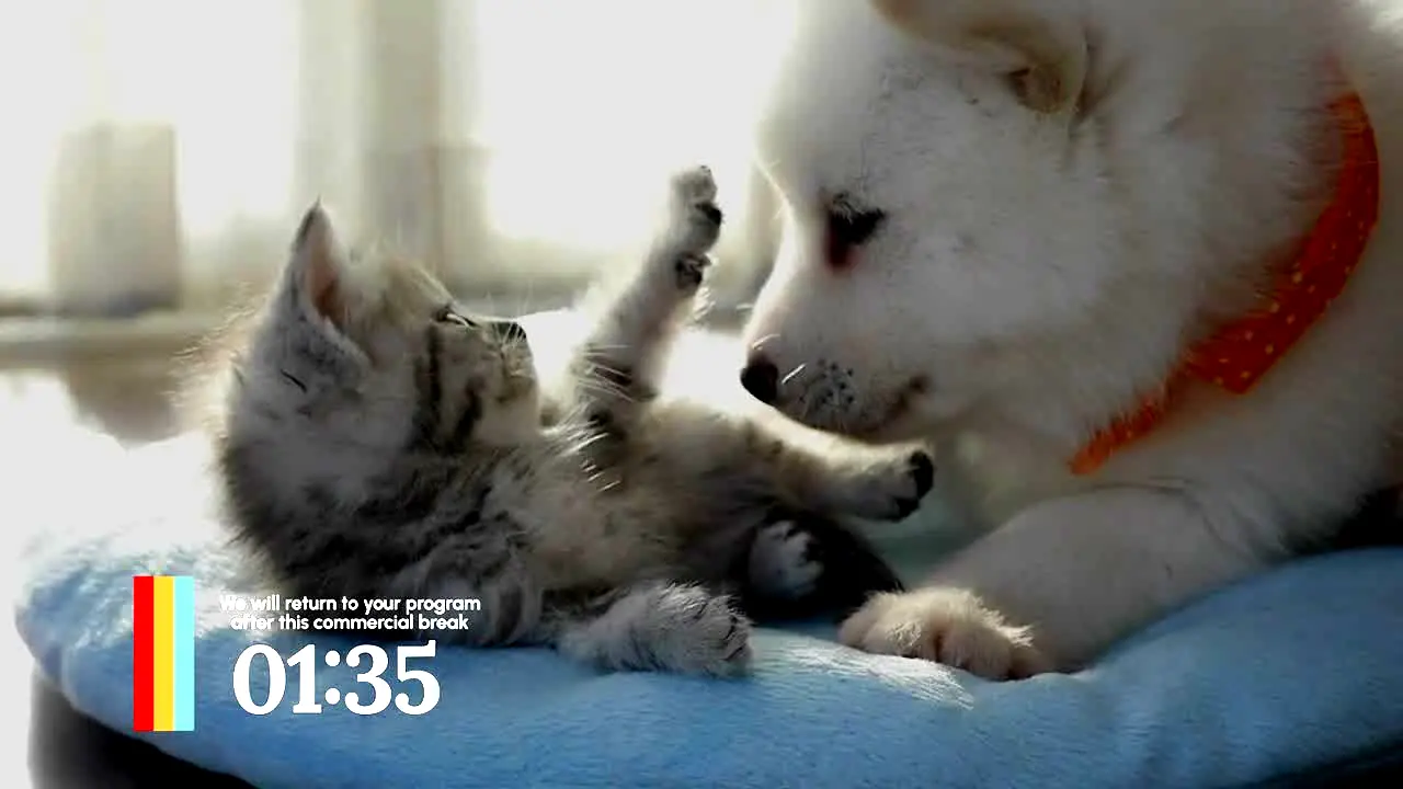 Love Pets live