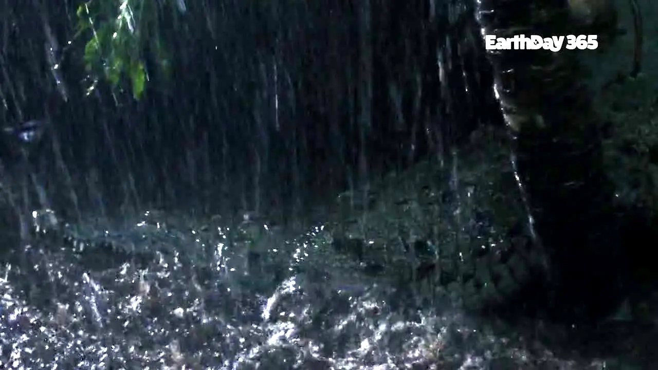 EarthDay 365 in diretta