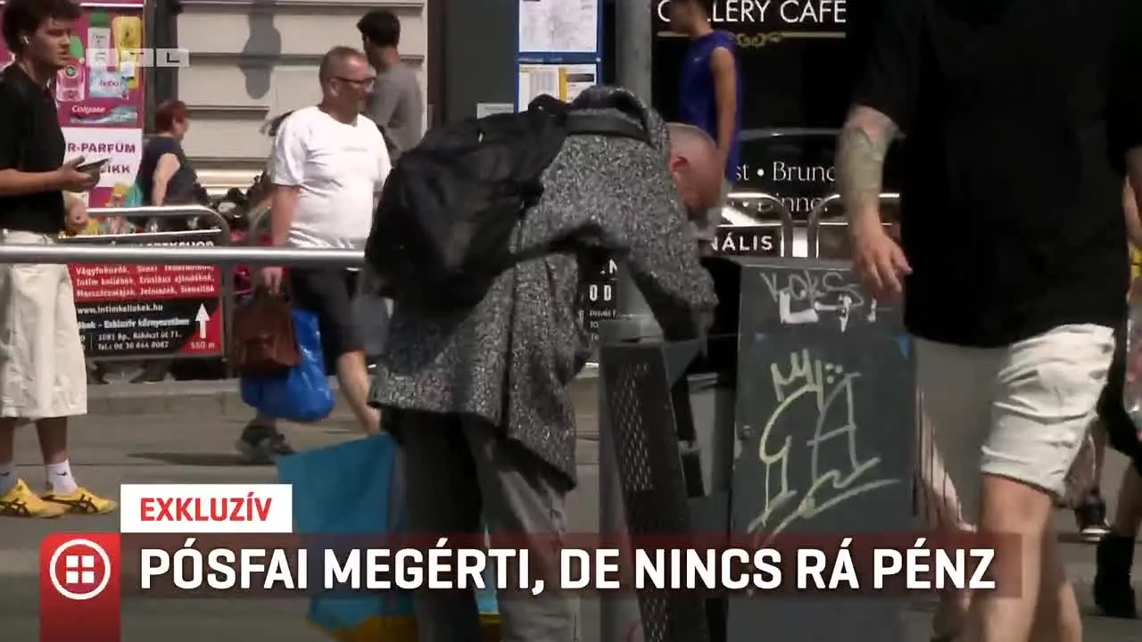 RTL na żywo