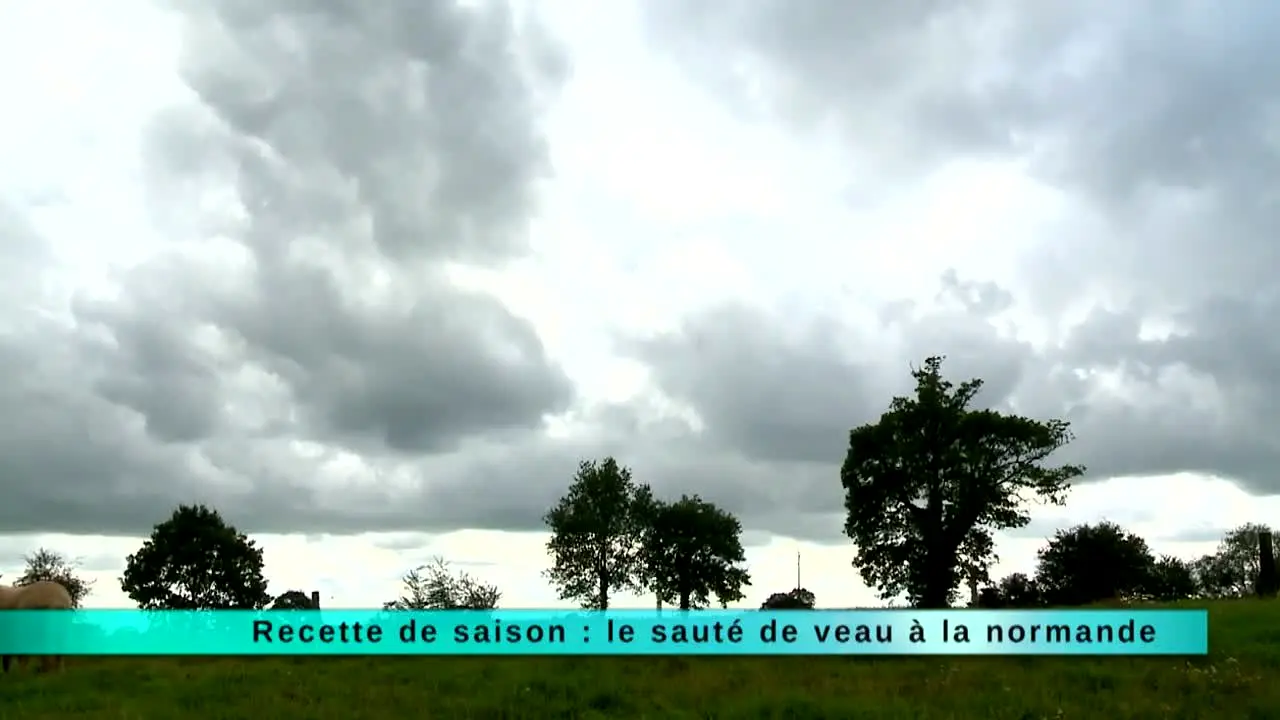 Ça Chauffe en Cuisine live