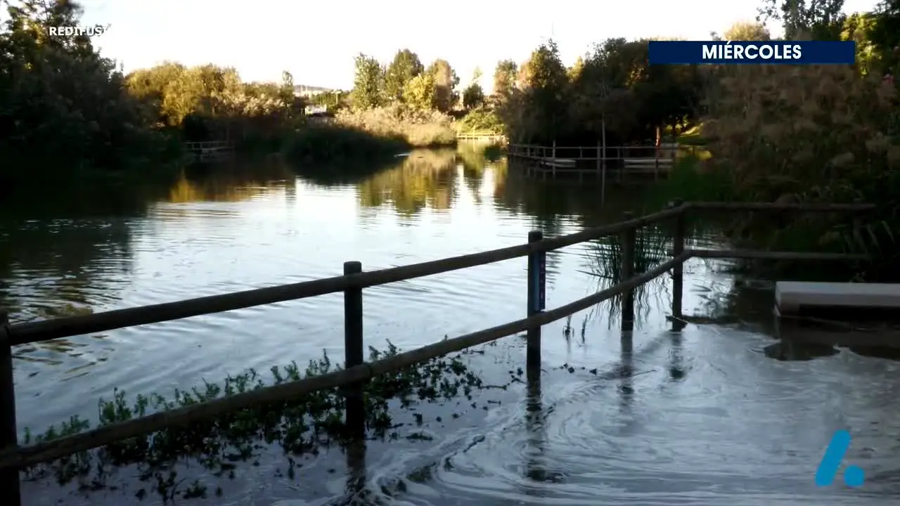 Alacantí TV live
