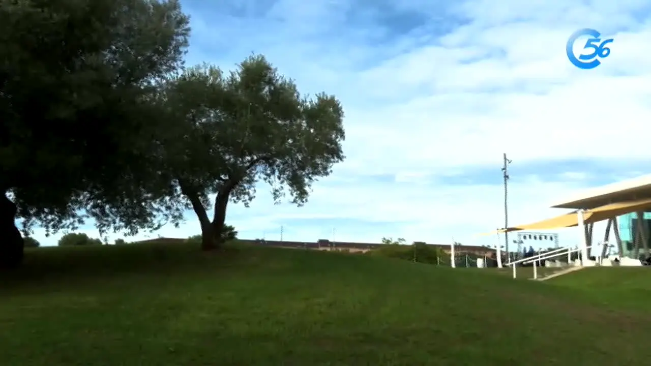 Canal 56 — прямой эфир
