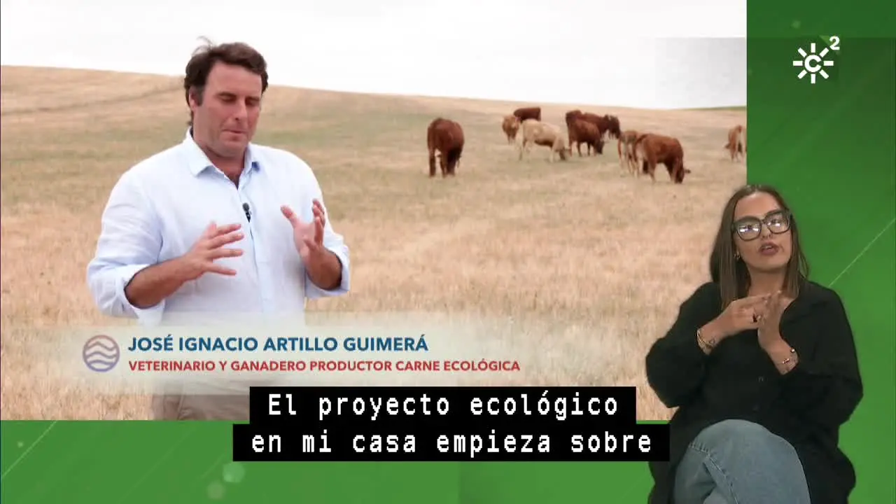 Canal Sur 2 ao vivo
