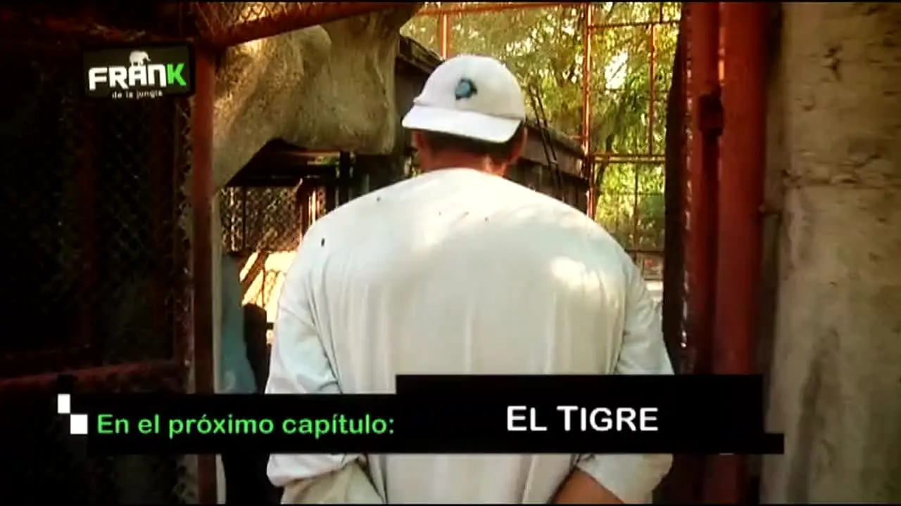 Pluto TV Animales live