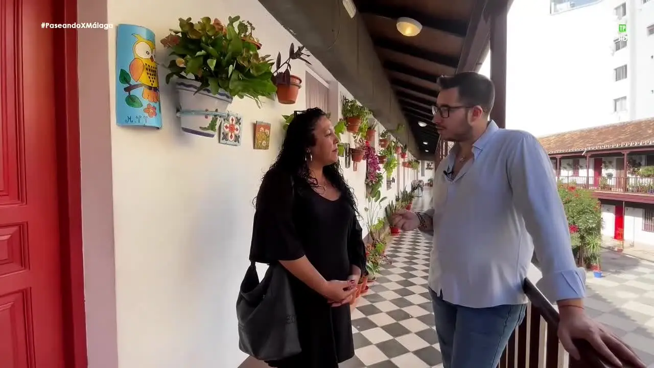 PTV Málaga live