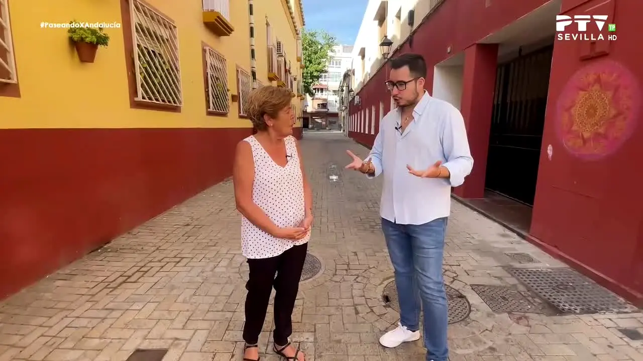 PTV Sevilla live