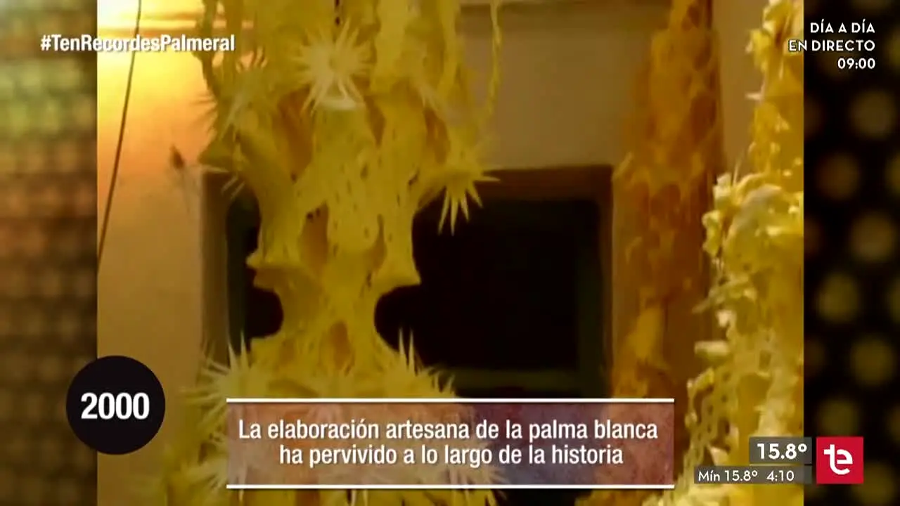 TeleElx en vivo