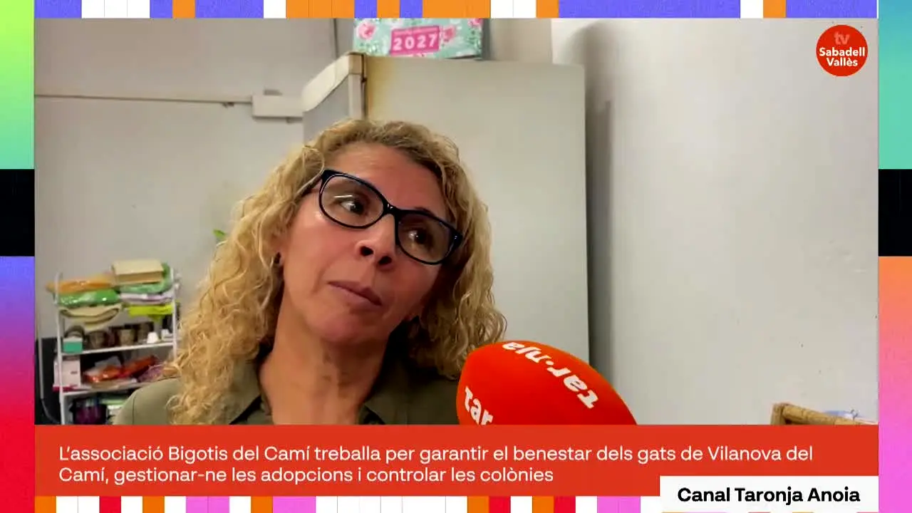 TV Sabadell - Vallès live