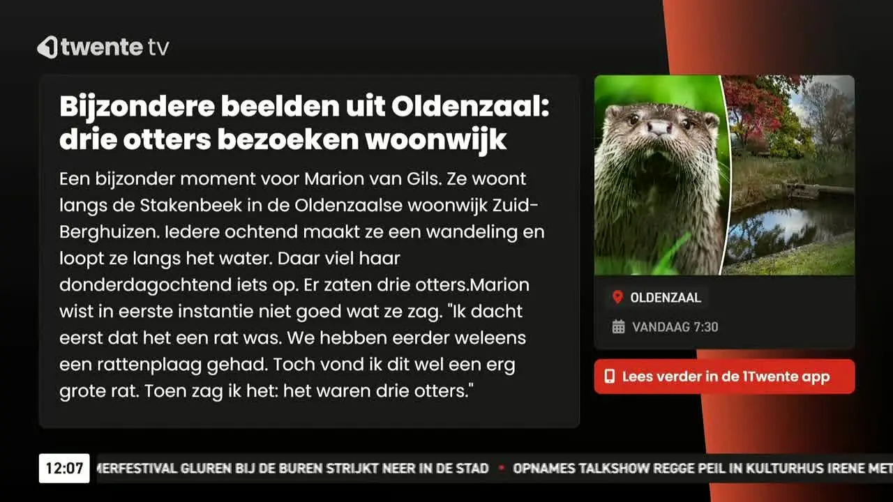 1Twente TV in diretta