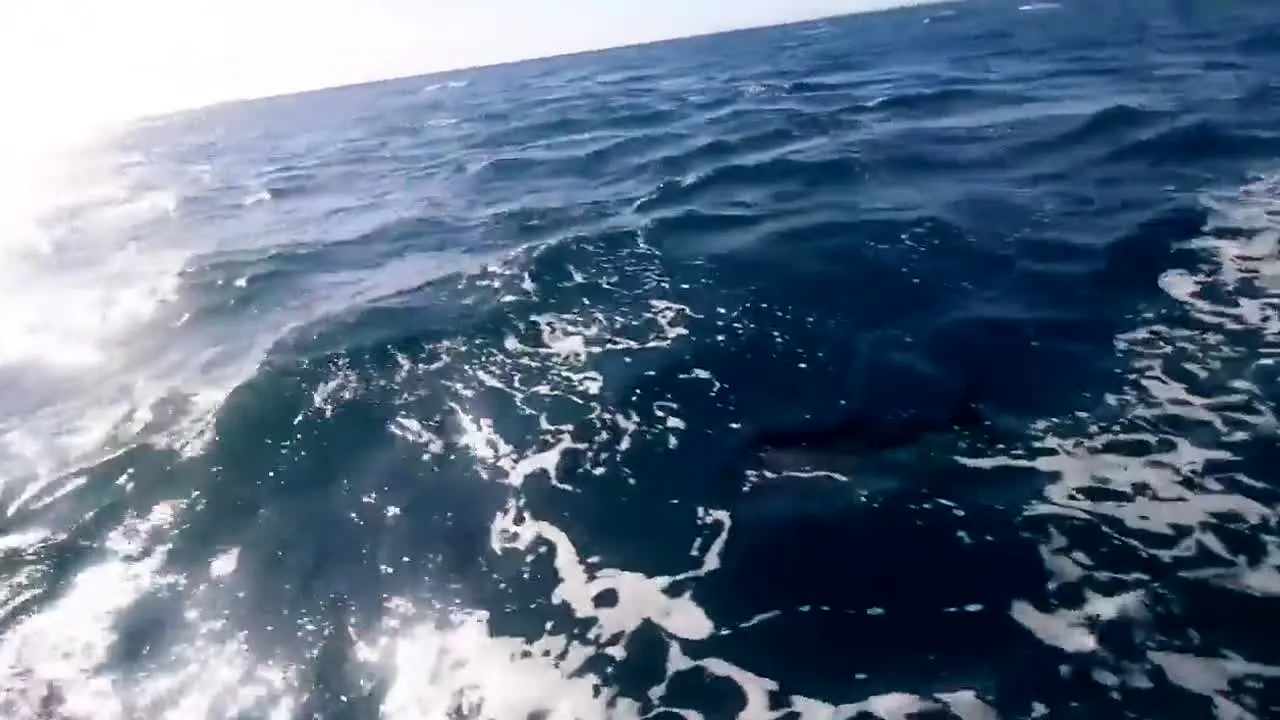 30A Darcizzle Offshore live