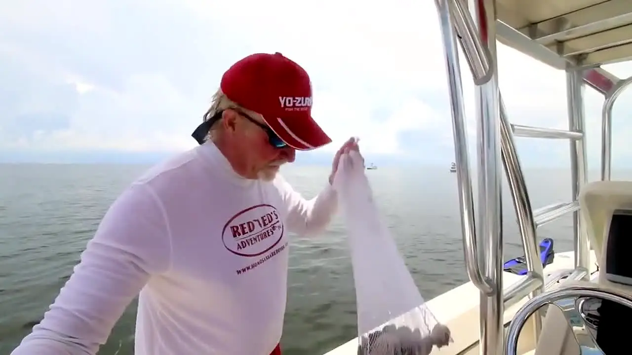 30A Darcizzle Offshore en vivo