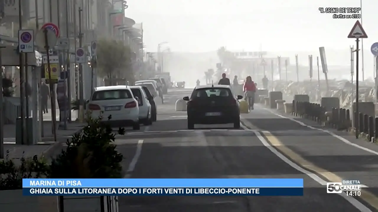 50 Canale na żywo