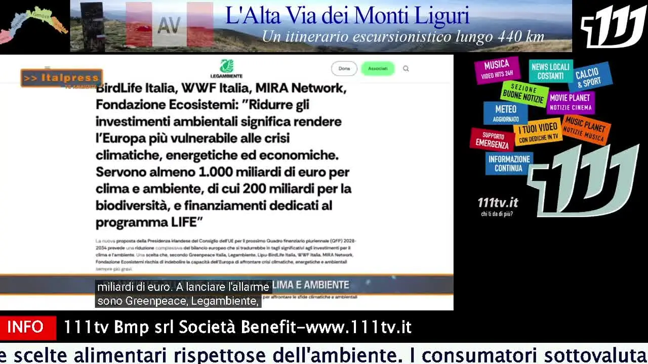 111 TV ao vivo