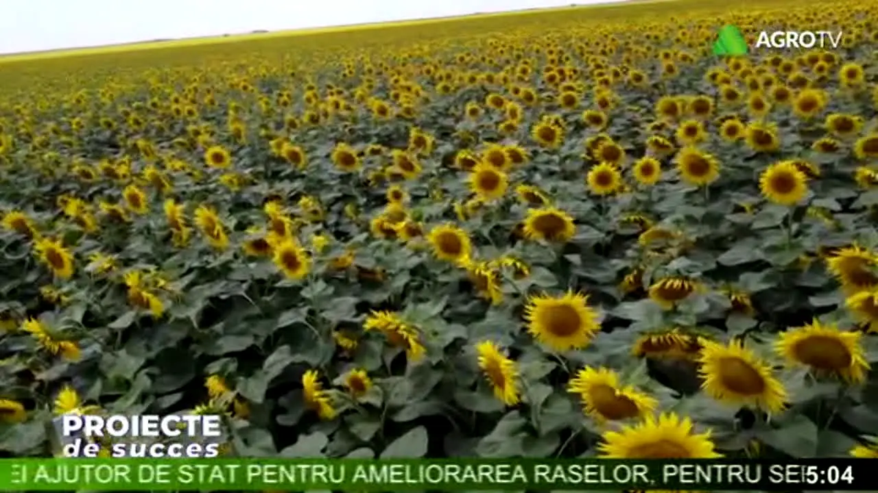 Agro TV live
