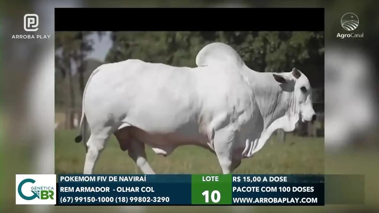 AgroCanal live