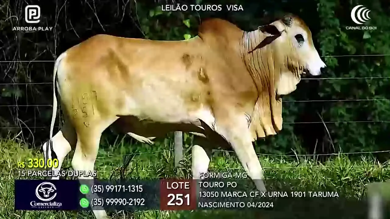 AgroCanal live