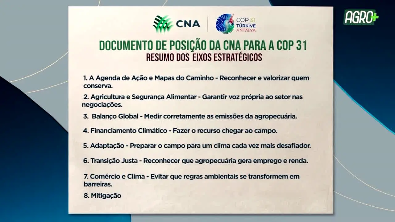 AgroMais en direct