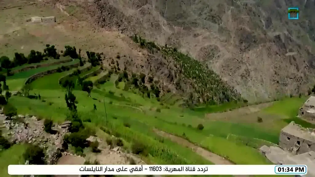 Almahriah TV in diretta