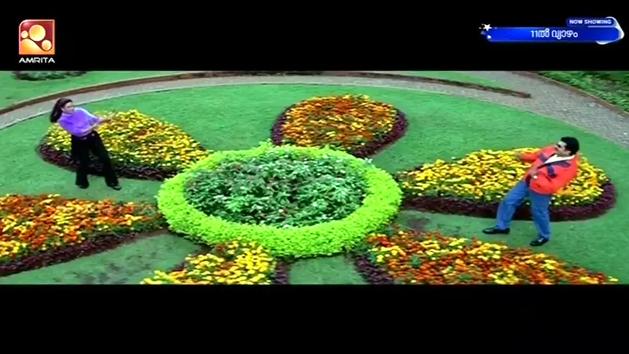 Amrita TV — прямой эфир