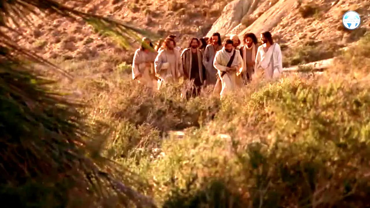 Approval TV — прямой эфир