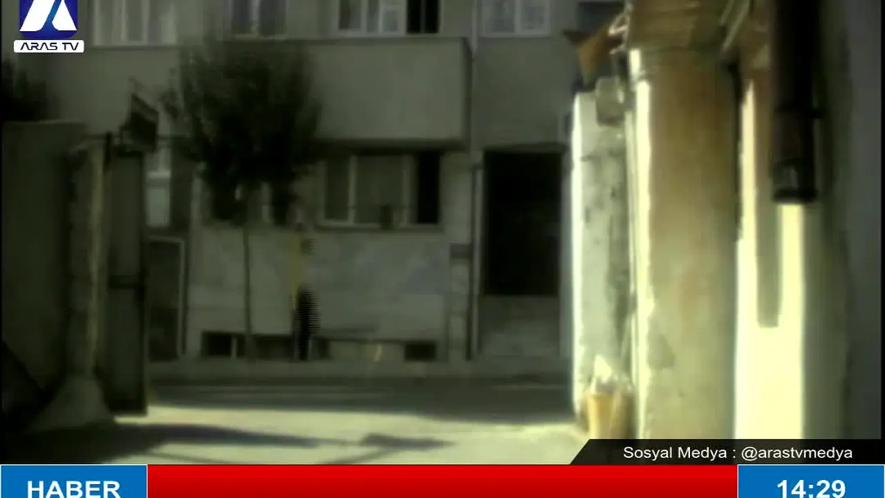 Aras TV na żywo