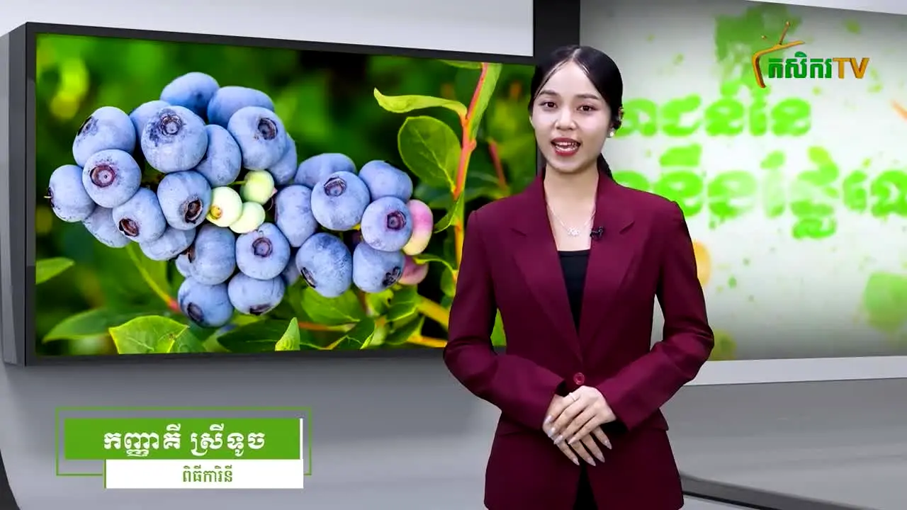 ARDB TV na żywo