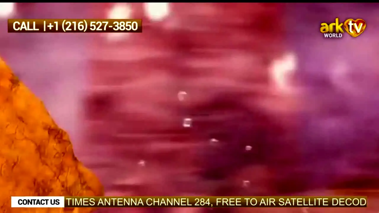 Ark TV en direct