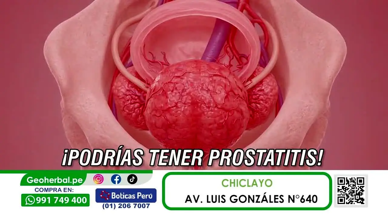 ATV Sur live