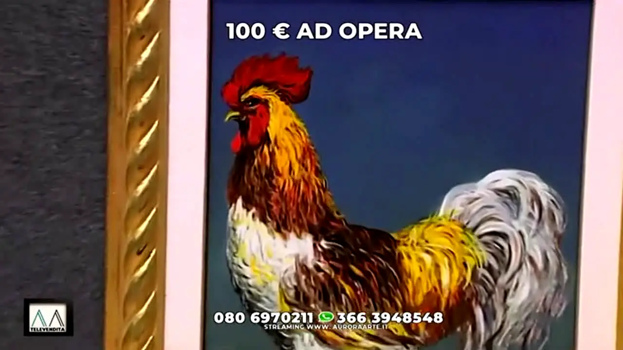 Aurora Arte — прямой эфир