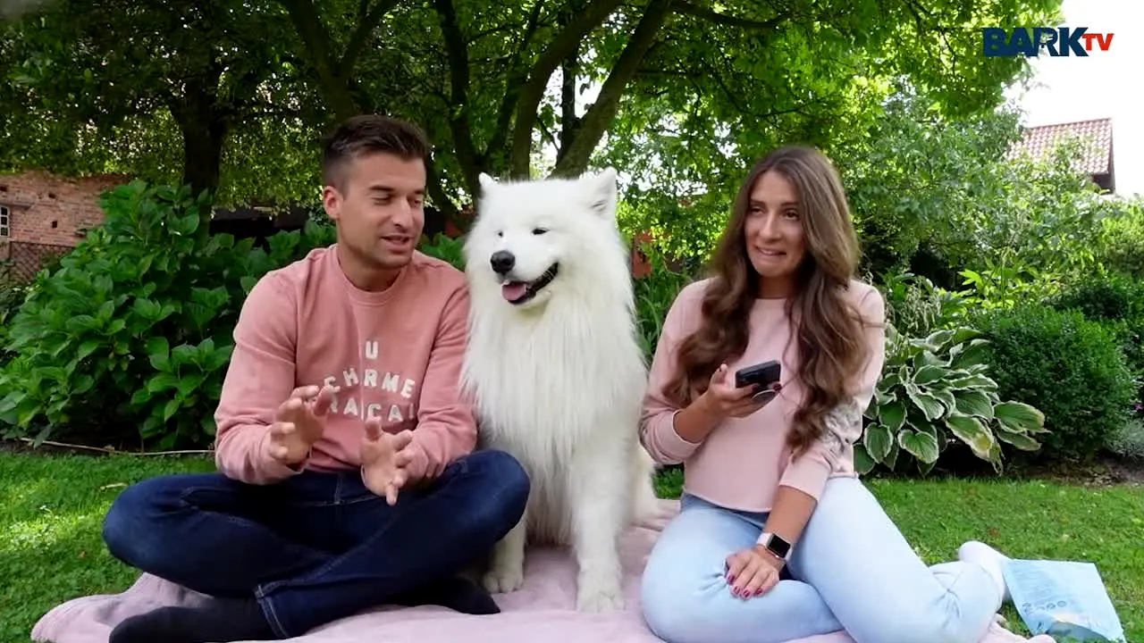 Bark TV live