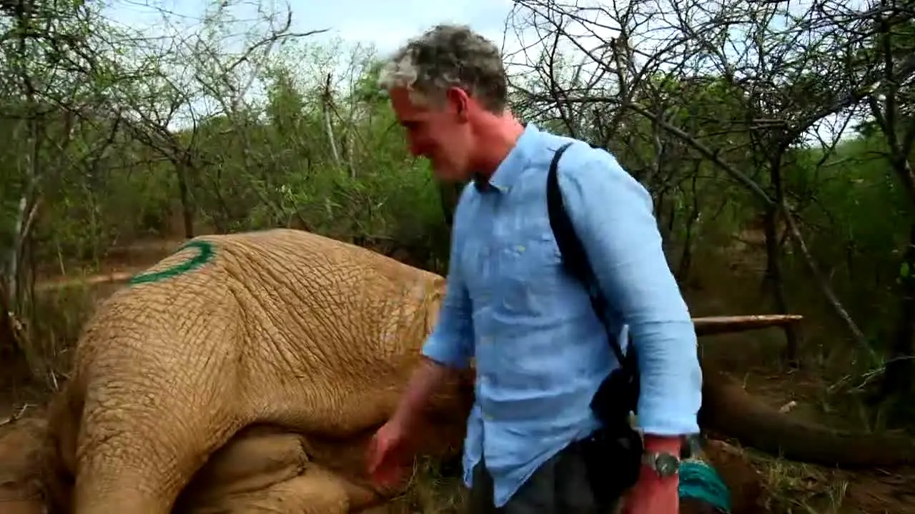 BBC Earth US live