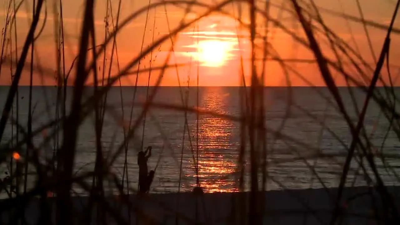 Beach TV Florida & Alabama live